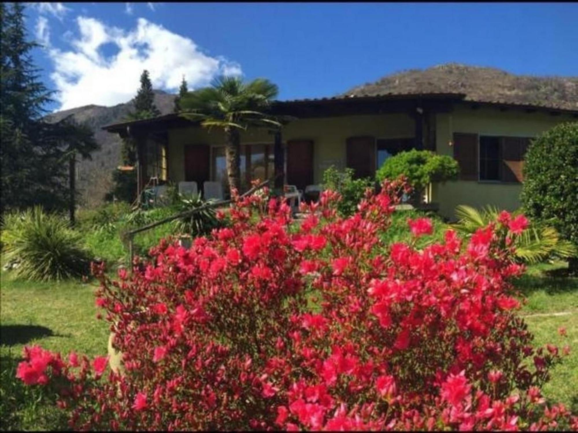 """Casa Elena -Tegna"" Die Ruheoase In Grossem Garten" ภายนอก รูปภาพ